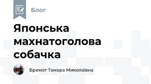 Японська махнатоголова собачка