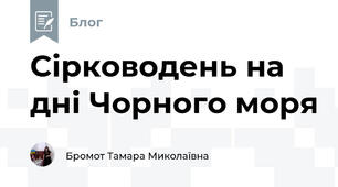 Сірководень на дні Чорного моря