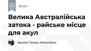 Велика Австралійська затока - райське місце для акул
