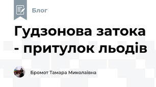 Гудзонова затока - притулок льодів