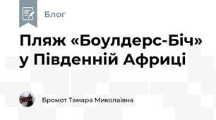 Пляж «Боулдерс-Біч» у Південній Африці 