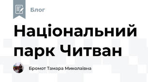 Національний парк Читван