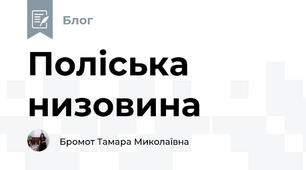 Поліська низовина