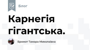 Карнегія гігантська.