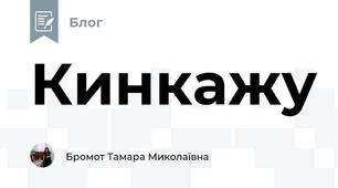 Кинкажу
