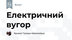 Електричний вугор