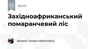 Західноафриканський помаранчевий ліс