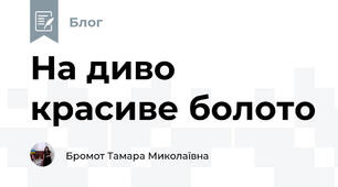 На диво красиве болото