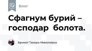 Сфагнум бурий – господар  болота. 