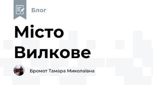 Місто Вилкове