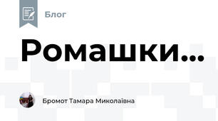 Ромашки...