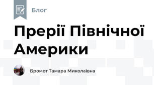 Прерії Північної Америки