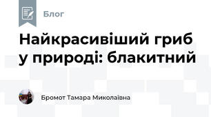 Найкрасивіший гриб у природі: блакитний
