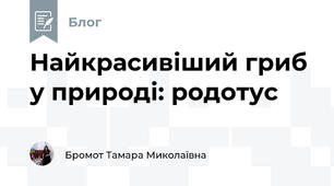 Найкрасивіший гриб у природі: родотус 