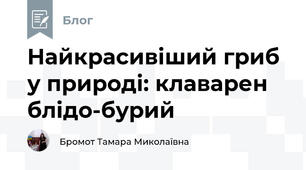 Найкрасивіший гриб у природі: клаварен блідо-бурий