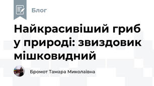 Найкрасивіший гриб у природі: звиздовик мішковидний 