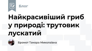 Найкрасивіший гриб у природі: трутовик лускатий