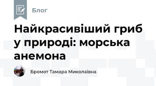 Найкрасивіший гриб у природі: морська анемона