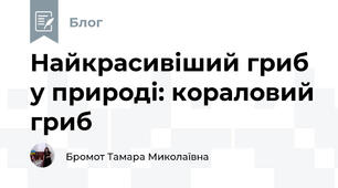 Найкрасивіший гриб у природі: кораловий гриб 