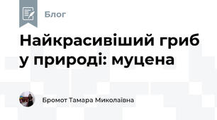 Найкрасивіший гриб у природі: муцена