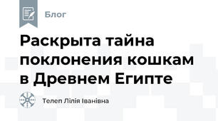 Раскрыта тайна поклонения кошкам в Древнем Египте