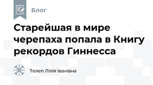 Старейшая в мире черепаха попала в Книгу рекордов Гиннесса