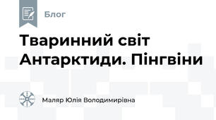Тваринний світ Антарктиди. Пінгвіни