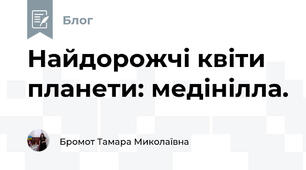 Найдорожчі квіти планети: медінілла. 