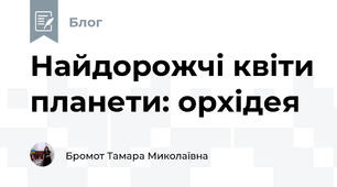 Найдорожчі квіти планети: орхідея 