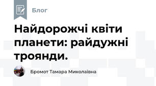 Найдорожчі квіти планети: райдужні троянди.