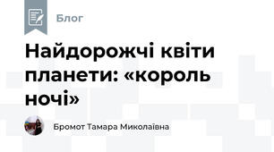 Найдорожчі квіти планети: «король ночі»