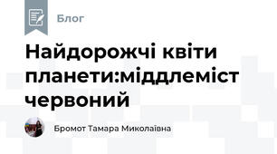 Найдорожчі квіти планети:міддлеміст червоний
