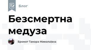 Безсмертна медуза