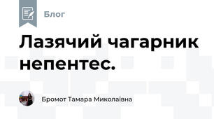 Лазячий чагарник непентес.
