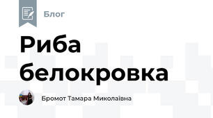 Риба белокровка