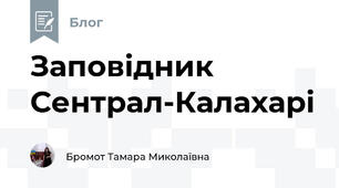 Заповідник Сентрал-Калахарі