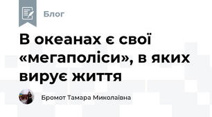 В океанах є свої «мегаполіси», в яких вирує життя