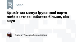 Крихітних медуз іруканджі варто побоюватися набагато більше, ніж акул