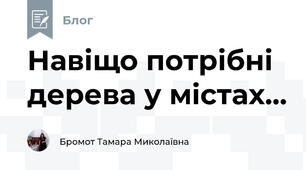 Навіщо потрібні дерева у містах...