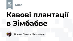 Кавові плантації в Зімбабве