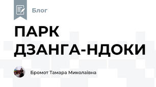 ПАРК ДЗАНГА-НДОКИ 