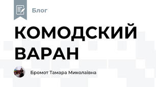 КОМОДСКИЙ ВАРАН