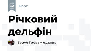 Річковий дельфін