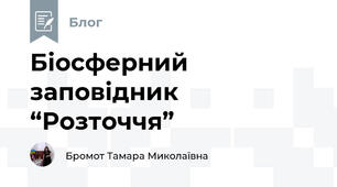 Біосферний заповідник “Розточчя”