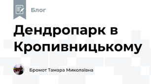 Дендропарк в Кропивницькому 
