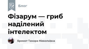Фізарум — гриб наділений інтелектом 