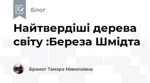 Найтвердіші дерева світу :Береза ​​Шмідта 