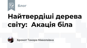 Найтвердіші дерева світу:  Акація біла 