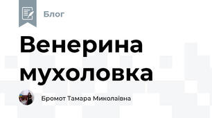 Венерина мухоловка