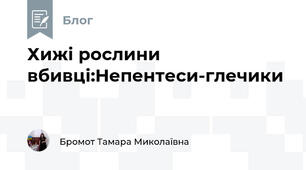 Хижі рослини вбивці:Непентеси-глечики